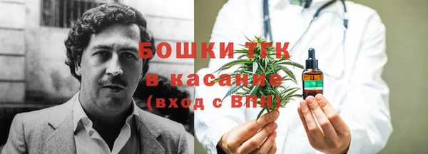 крисы Верея