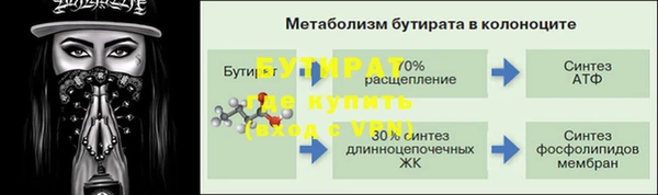 крисы Верея