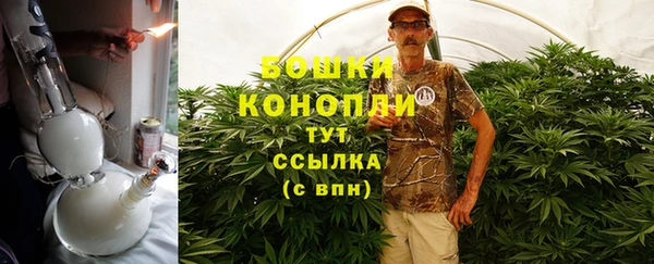 крисы Верея