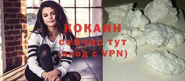 крисы Верея