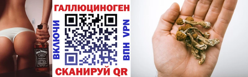 blacksprut как войти  Воронеж  Псилоцибиновые грибы Cubensis 